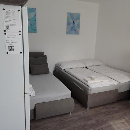 Angel Apartman Nové Město nad Metují المظهر الخارجي الصورة