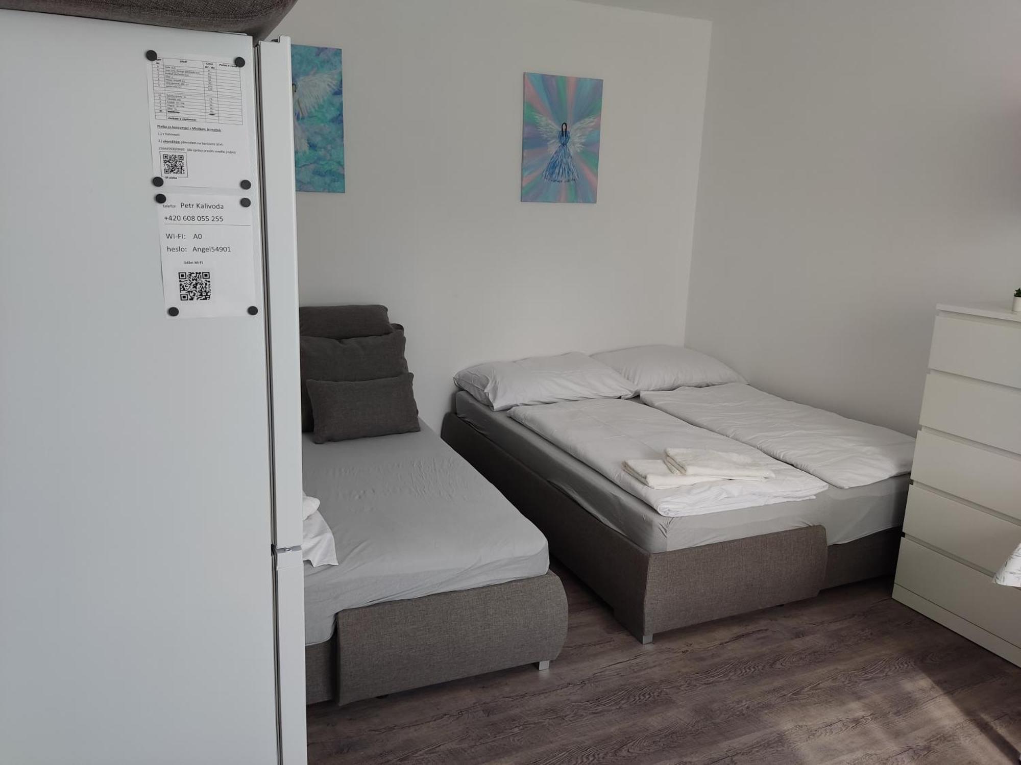 Angel Apartman Nové Město nad Metují المظهر الخارجي الصورة